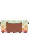Pre-Loved Triomphe Camera Bag Crossbody Bag Triomphe Coated Canvas Small with Silver Hardware, Multicolor Gradient
