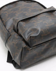 Pre-Loved Triomphe Backpack Triomphe Coated Canvas with Silver Hardware, Black and Brown