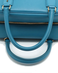 Pre-Loved Amazona Handbag Leather Small with Gold Hardware, Blue