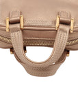 Pre-Loved Amazona Handbag Leather Mini with Gold Hardware, Metallic Beige
