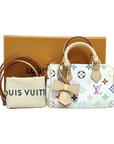 Pre-Owned Louis Vuitton x Takashi Murakami Multicolore Nano Speedy
