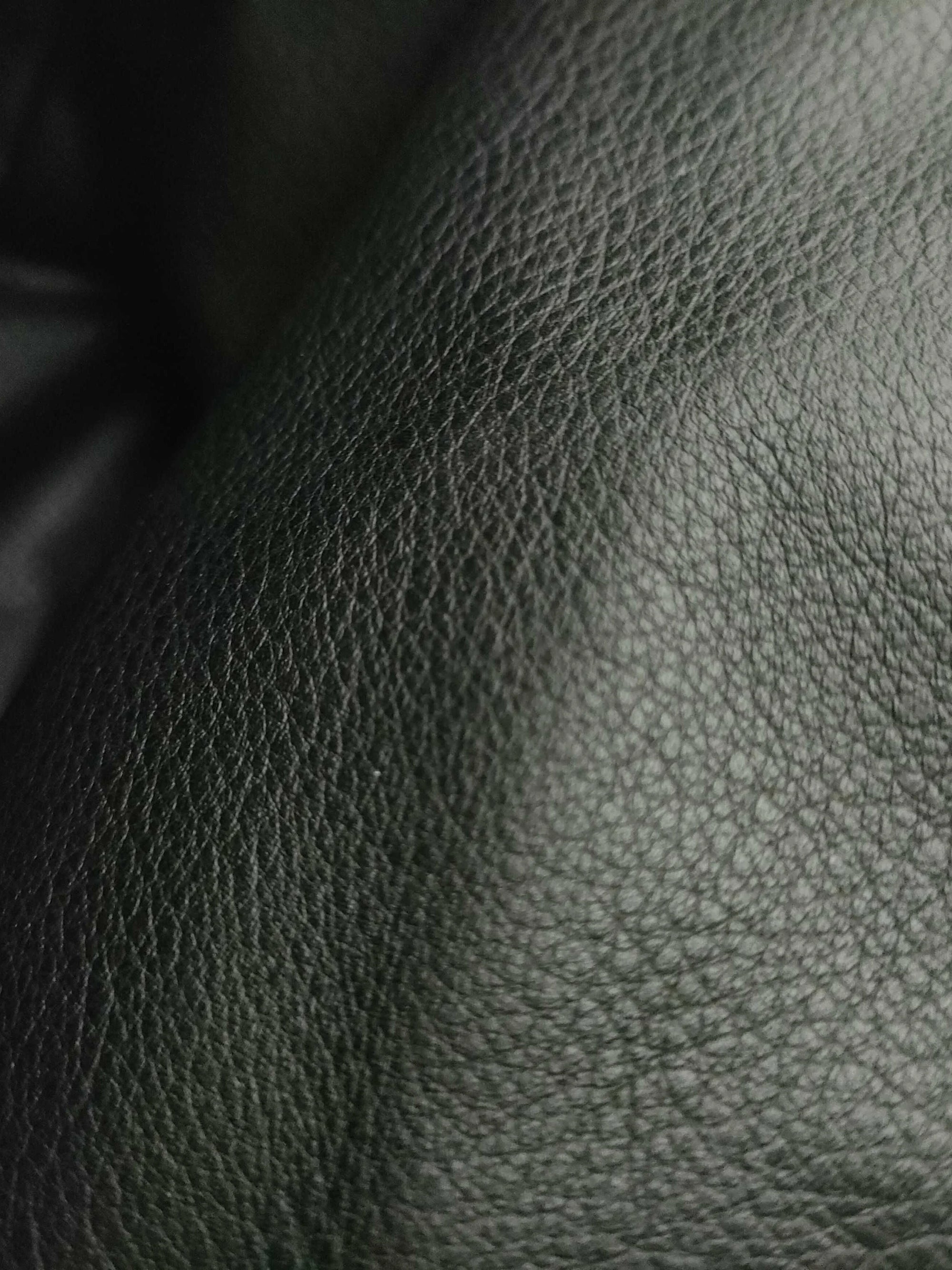 Pre-Owned Goyard Anjou Mini