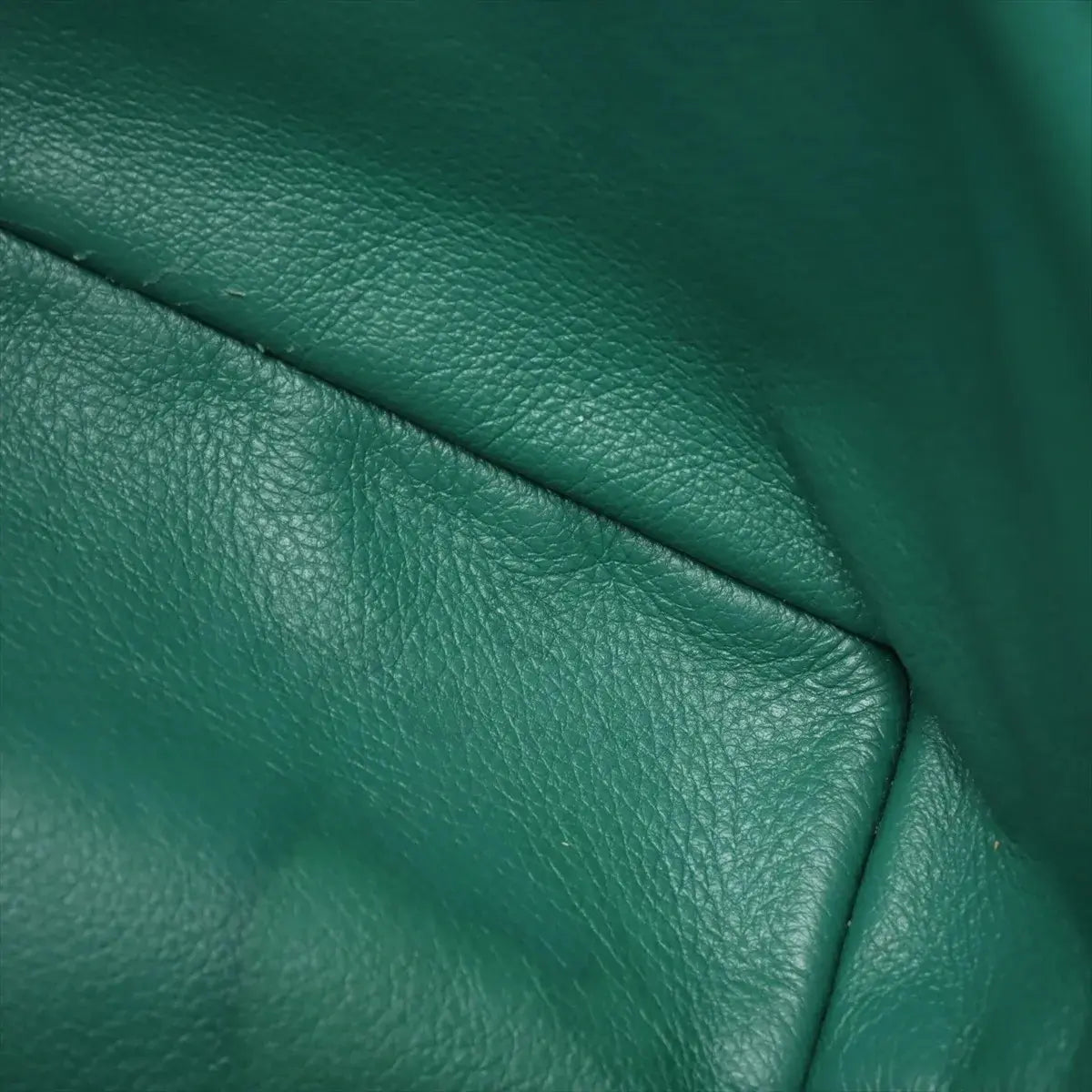 Pre-Loved Anjou Mini Tote Goyardine Coated Canvas Mini, Green