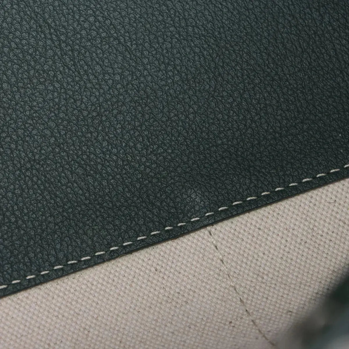 Pre-Loved Saïgon Souple Tote Goyardine Coated Canvas MM with Silver Hardware, Green