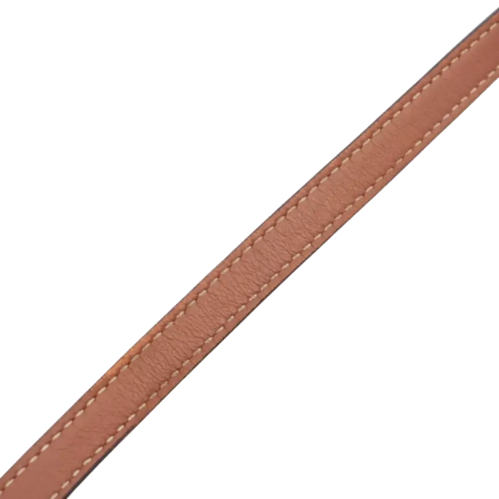 Pre-Loved Triomphe Wallet on Strap Crossbody Bag Triomphe Coated Canvas with Gold Hardware, Brown