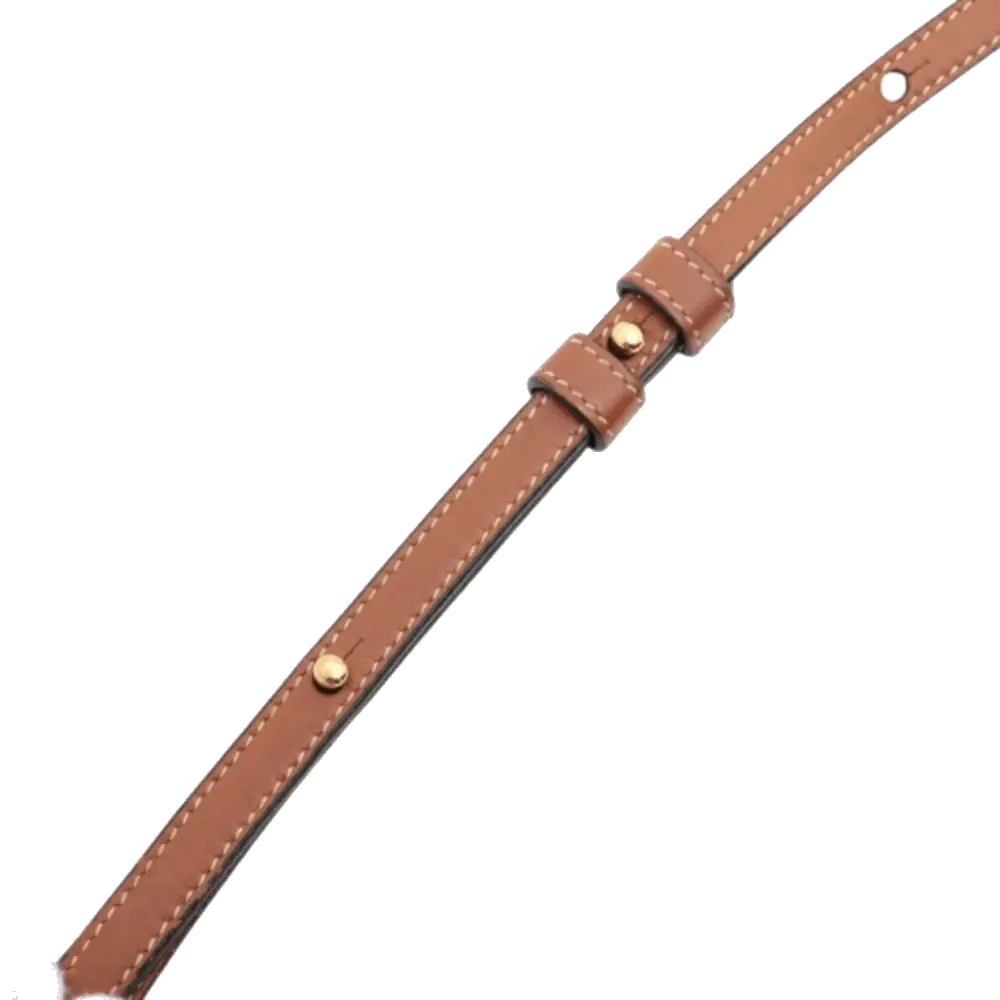 Pre-Loved Triomphe Wallet on Strap Crossbody Bag Triomphe Coated Canvas with Gold Hardware, Brown