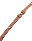 Pre-Loved Triomphe Wallet on Strap Crossbody Bag Triomphe Coated Canvas with Gold Hardware, Brown