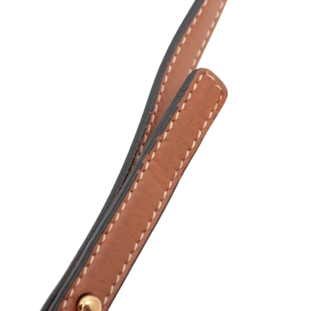 Pre-Loved Triomphe Wallet on Strap Crossbody Bag Triomphe Coated Canvas with Gold Hardware, Brown