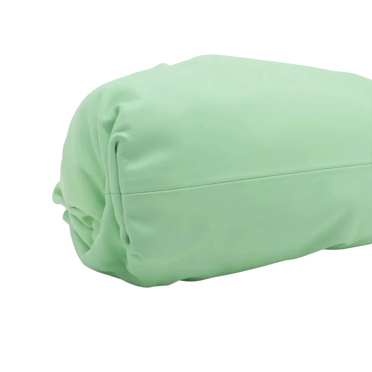 Pre-Loved The Pouch Clutch Leather with Gold Hardware, Mint Green