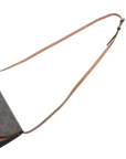 Pre-Loved Triomphe Wallet on Strap Crossbody Bag Triomphe Coated Canvas with Gold Hardware, Brown