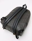 Pre-Loved Triomphe Backpack Triomphe Coated Canvas with Gold Hardware, Brown