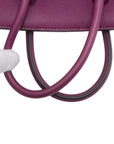 Pre-Loved Birkin Handbag Leather 25 with Gold Hardware, Purple