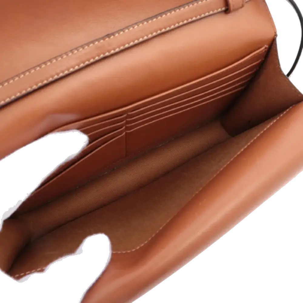 Pre-Loved Triomphe Wallet on Strap Crossbody Bag Triomphe Coated Canvas with Gold Hardware, Brown