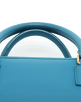 Pre-Loved Amazona Handbag Leather Small with Gold Hardware, Blue