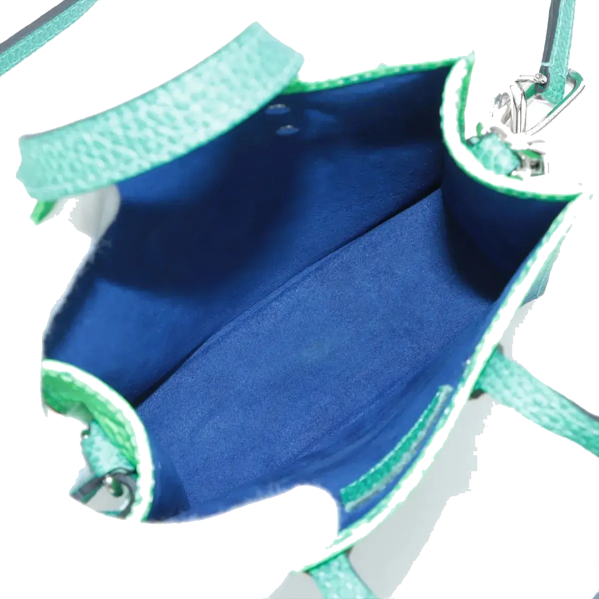 Pre-Loved Sac Plat Tote Monogram Leather XS with Silver Hardware, Green Blue Gradient