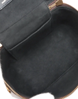 Pre-Loved Vanity PM Handbag Monogram Coated Canvas PM with Gold Hardware, Brown