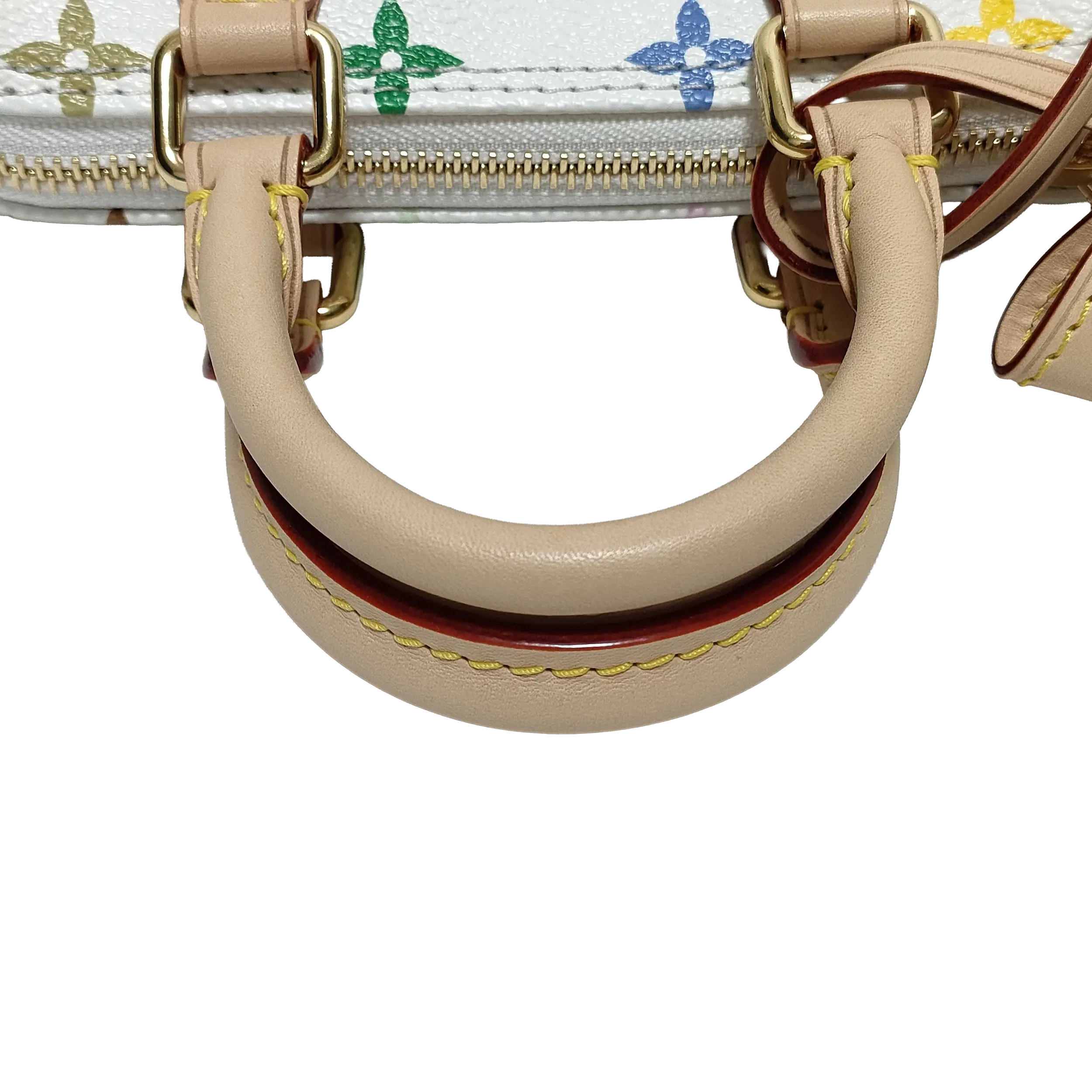 Pre-Owned Louis Vuitton x Takashi Murakami Multicolore Nano Speedy