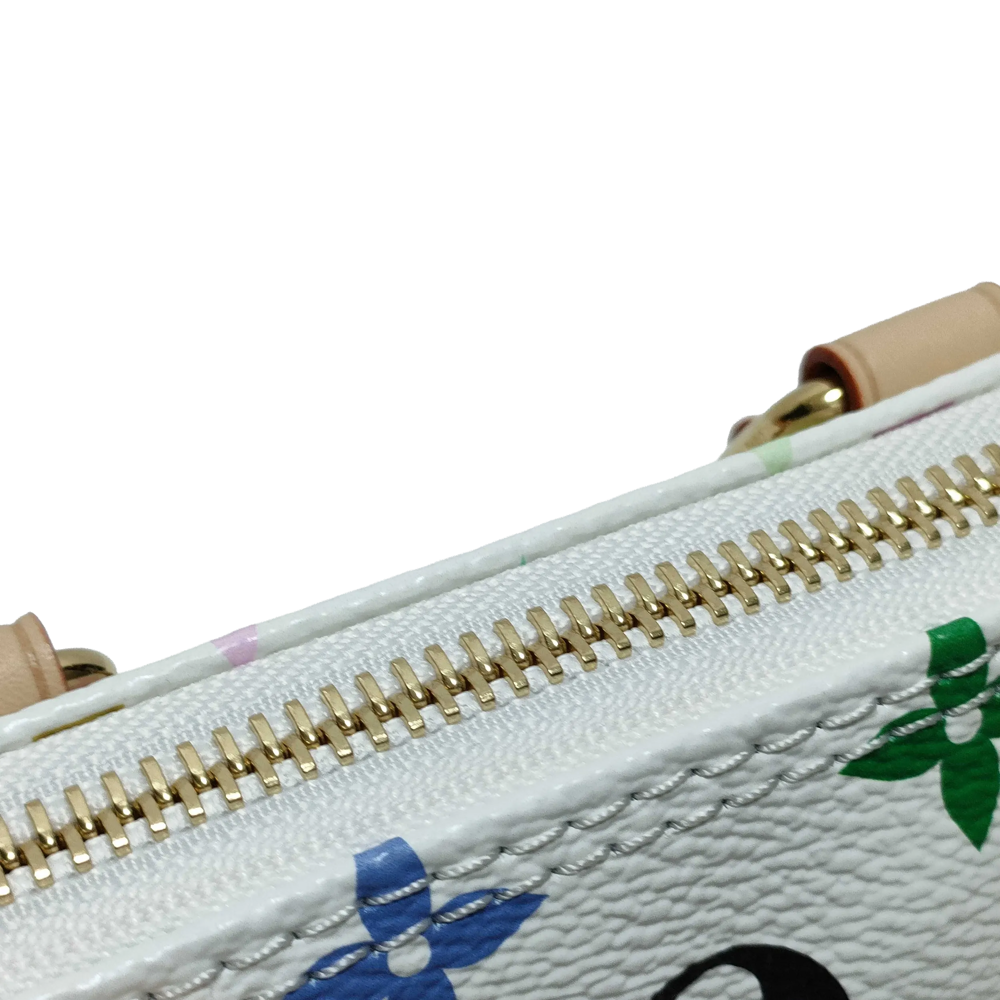 Pre-Owned Louis Vuitton x Takashi Murakami Multicolore Nano Speedy