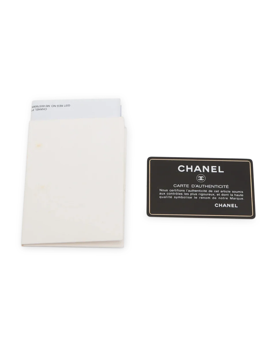 Pre-Owned Chanel Classic Rainbow Rectangular Mini Flap Bag