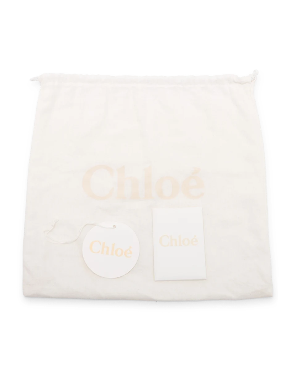 Pre-Owned Chloe Mini Faye Backpack