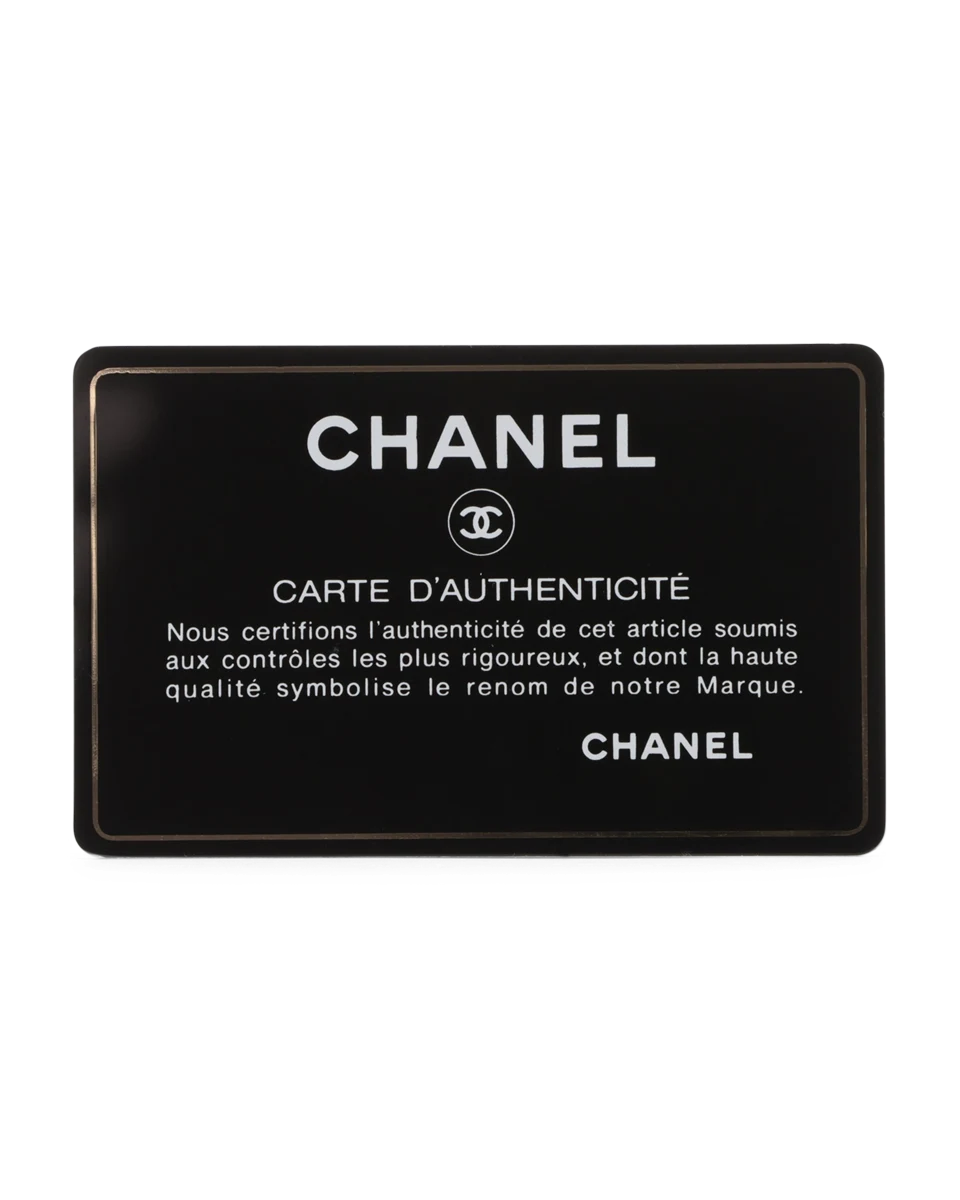 Pre-Owned Chanel Medium 19 Flap Bag