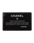 Pre-Owned Chanel Medium 19 Flap Bag