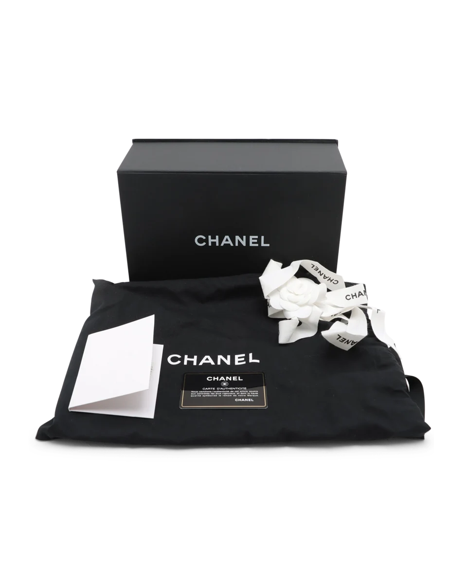 Pre-Owned Chanel Classic Mini Double Flap